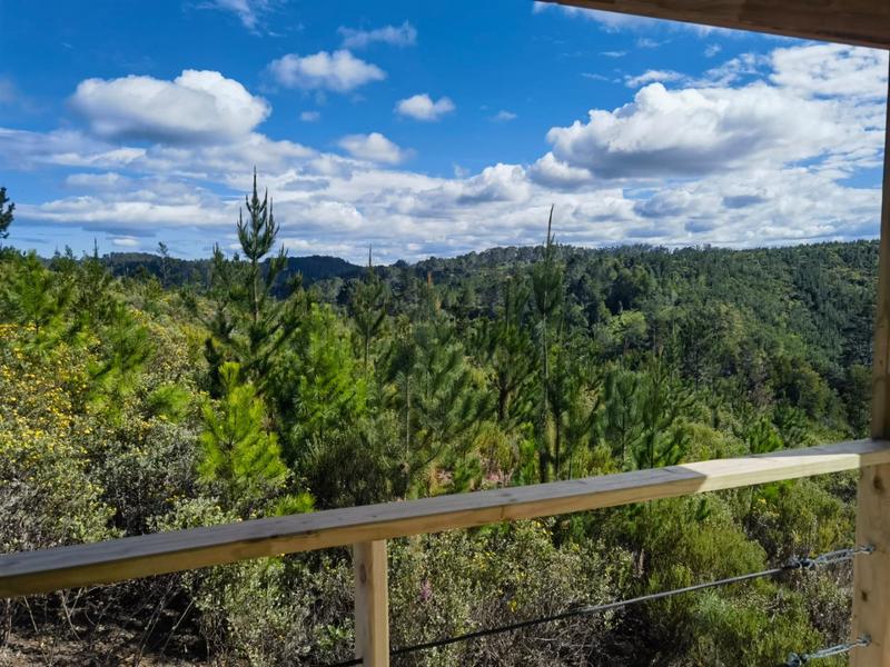 To Let 3 Bedroom Property for Rent in Plettenberg Bay Western Cape